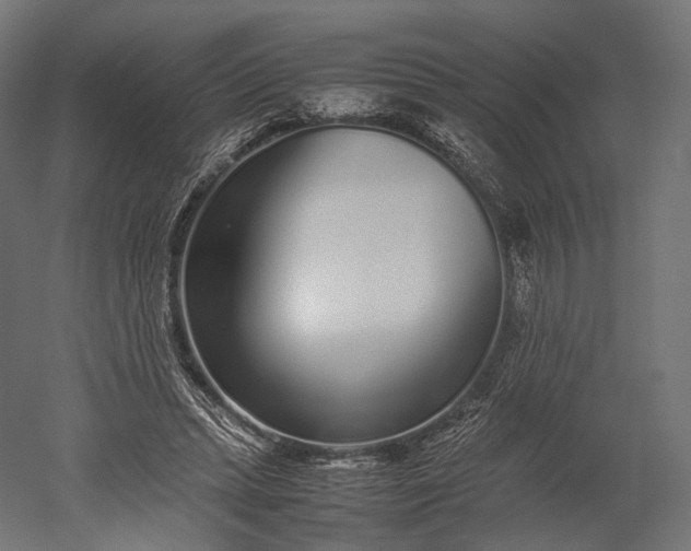 X0000051250447200507011656