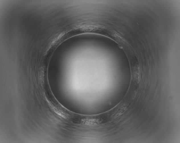 X0000051250448200507011656