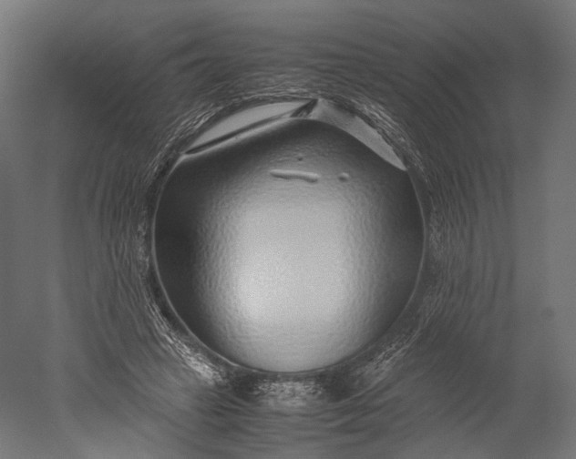 X0000051250449200507011656