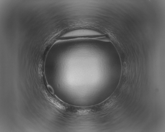 X0000051250450200507011656