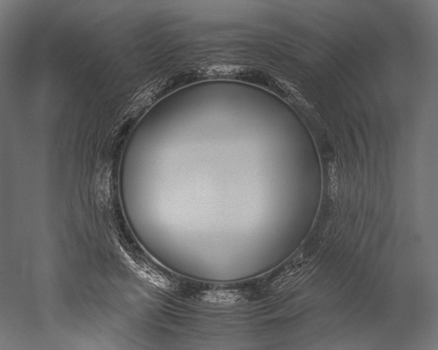 X0000051250451200507011656