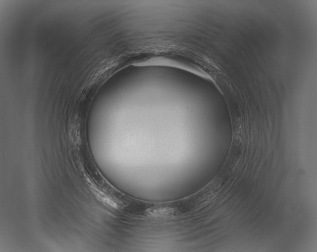 X0000051250452200507011656