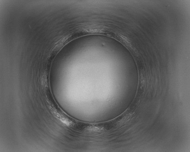 X0000051250453200507011656