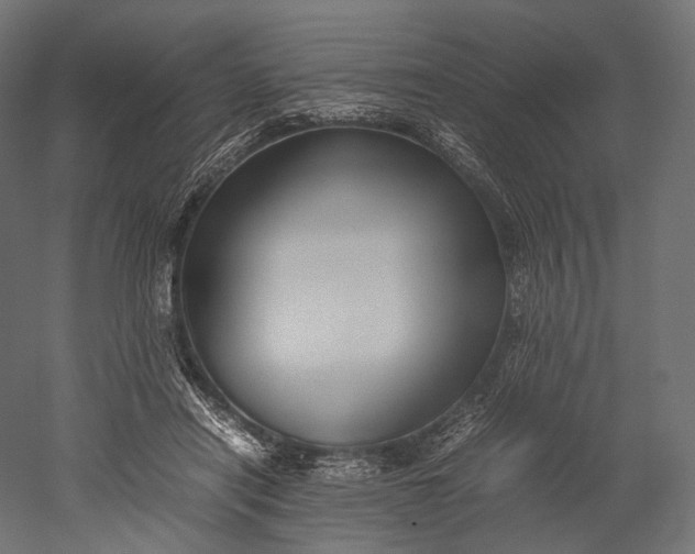 X0000051250454200507011657