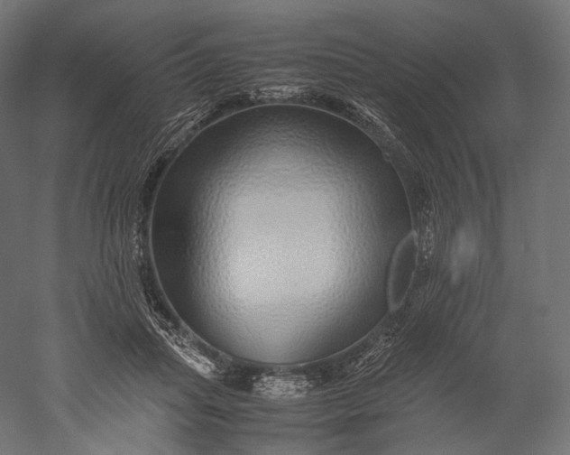 X0000051250455200507011657