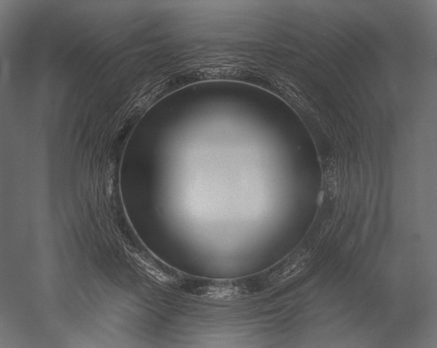 X0000051250458200507011657