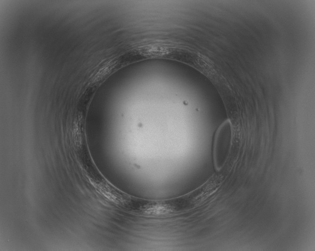 X0000051250460200507011657