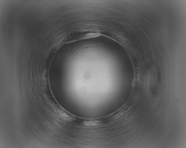 X0000051250461200507011657