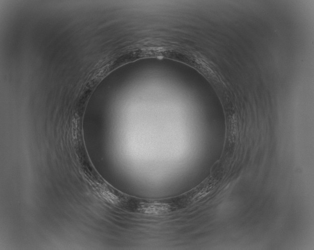 X0000051250463200507011657