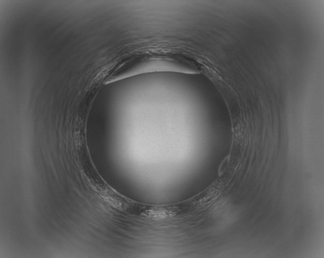 X0000051250464200507011657