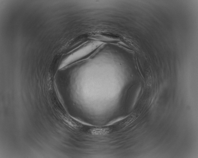 X0000051250465200507011657