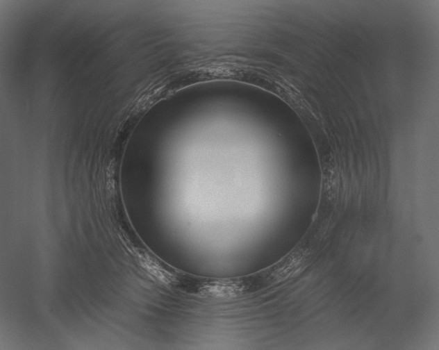 X0000051250466200507011657