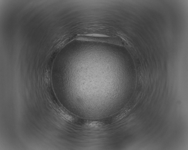 X0000051250467200507011657