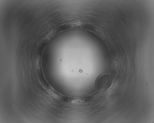 X0000051250468200507011657