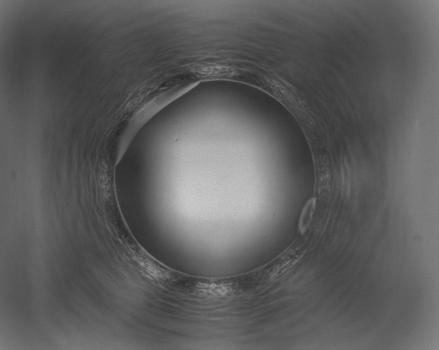 X0000051250469200507011657