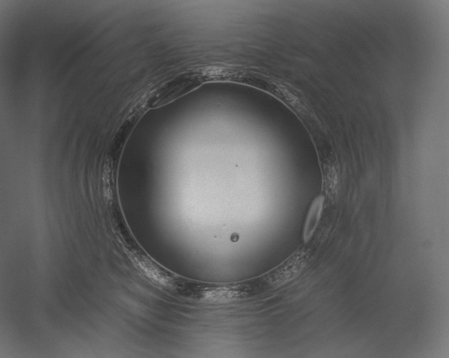 X0000051250470200507011657