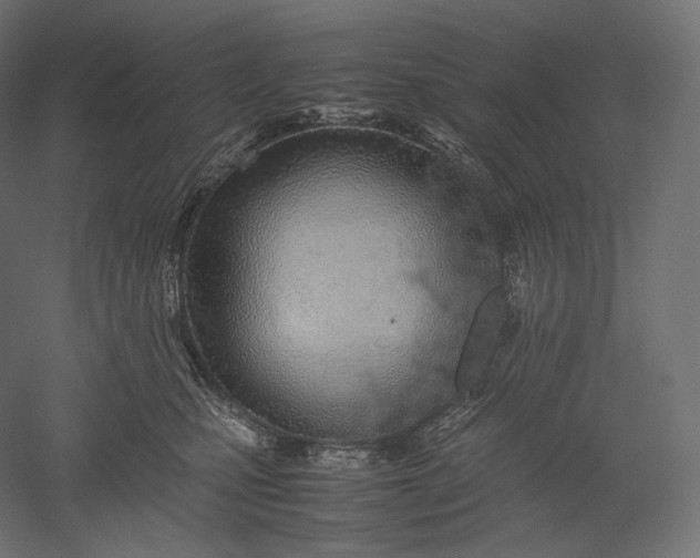 X0000051250471200507011657