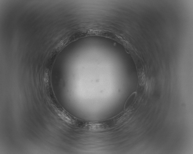 X0000051250472200507011657