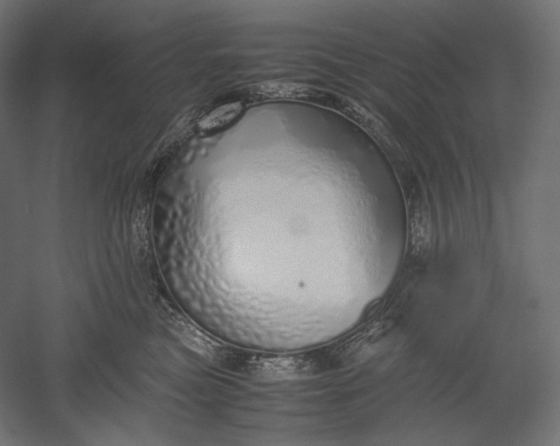 X0000051250473200507011657