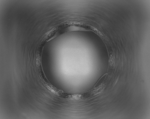 X0000051250474200507011657