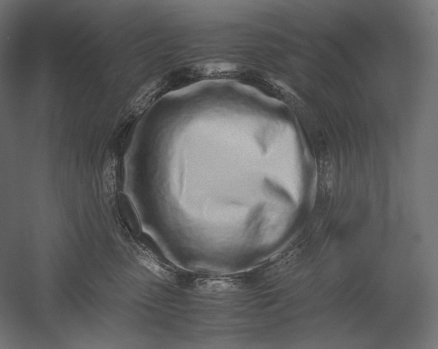 X0000051250475200507011657