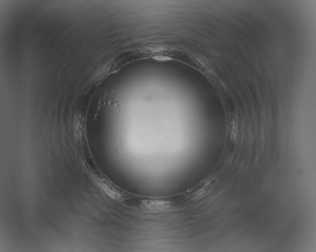 X0000051250476200507011657