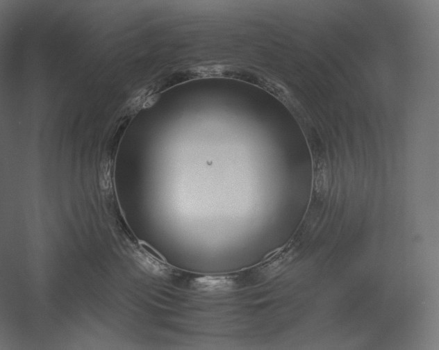 X0000051250477200507011657