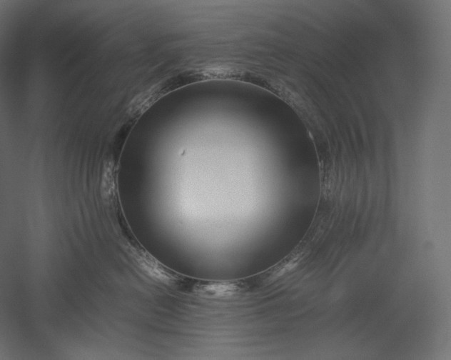 X0000051250478200507011657