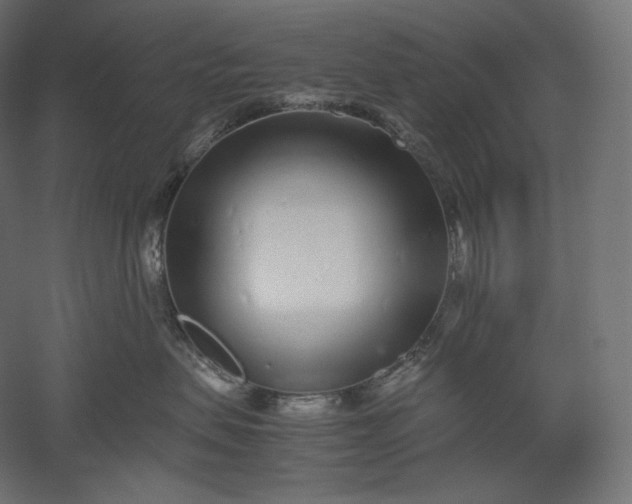 X0000051250479200507011657