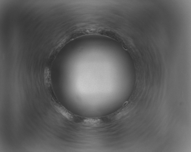 X0000051250480200507011657