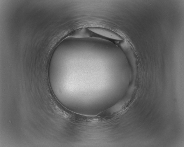 X0000051250481200507011656