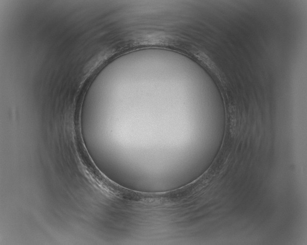 X0000051250482200507011656