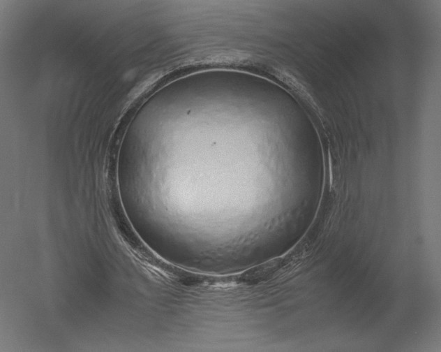 X0000051250483200507011656