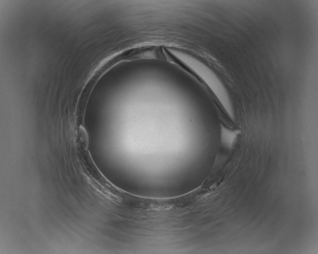 X0000051250484200507011656