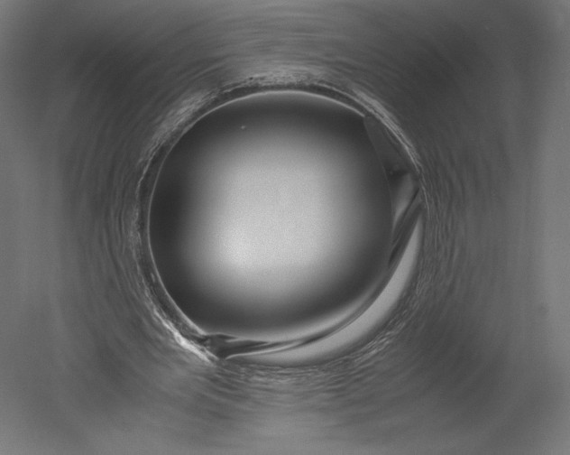 X0000051250485200507011656