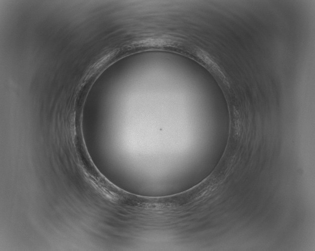 X0000051250486200507011656