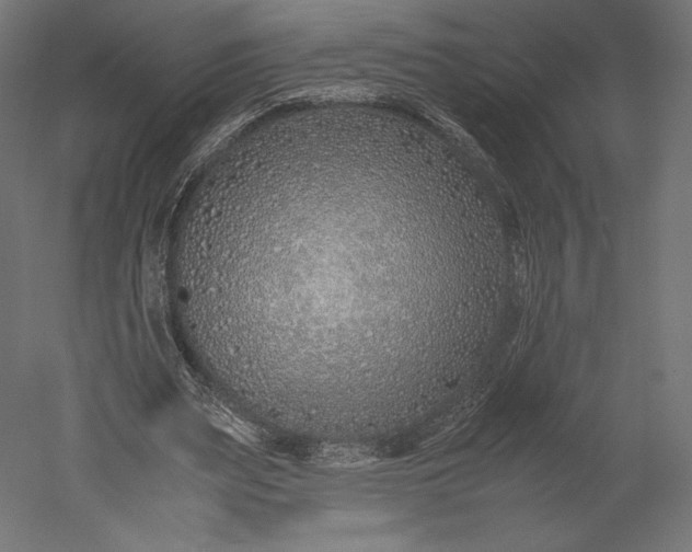 X0000051250487200507011656