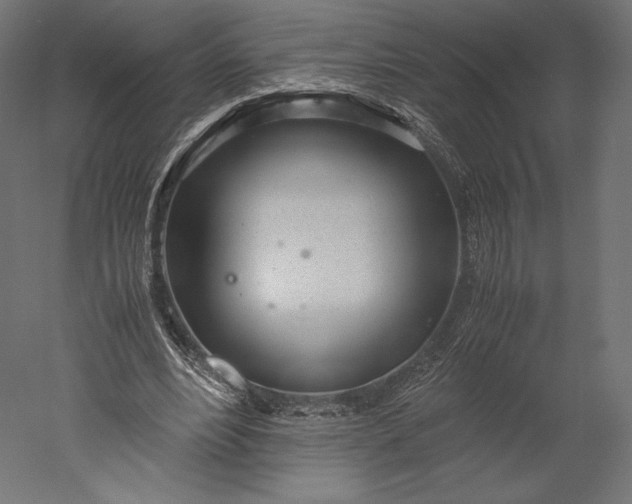 X0000051250488200507011656