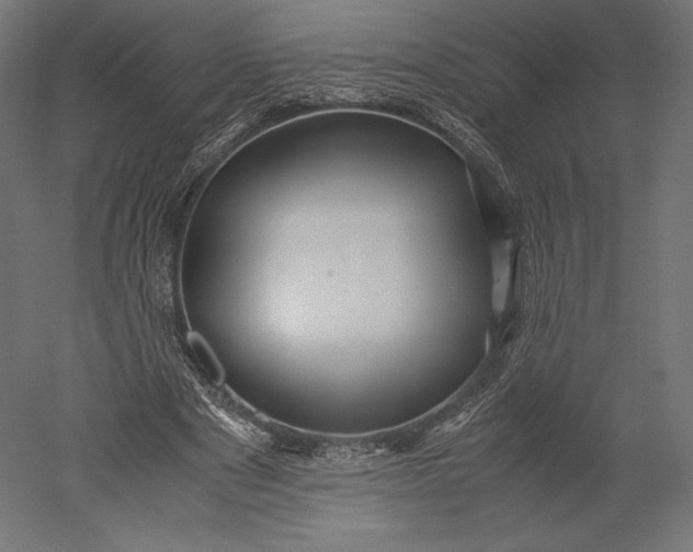 X0000051250489200507011656