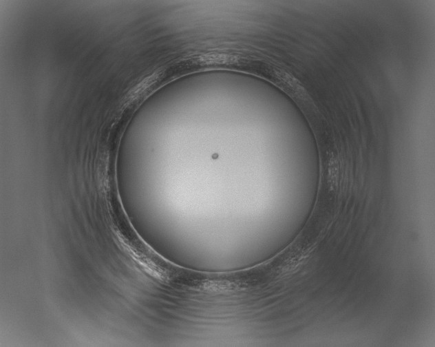 X0000051250490200507011656