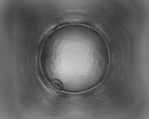 X0000051250491200507011656