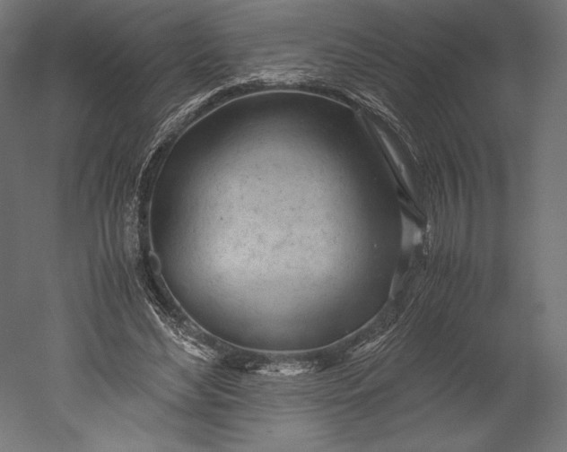 X0000051250492200507011656