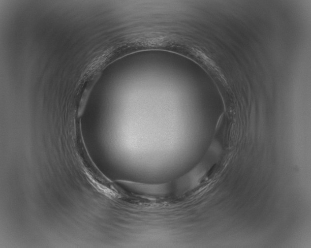 X0000051250493200507011656