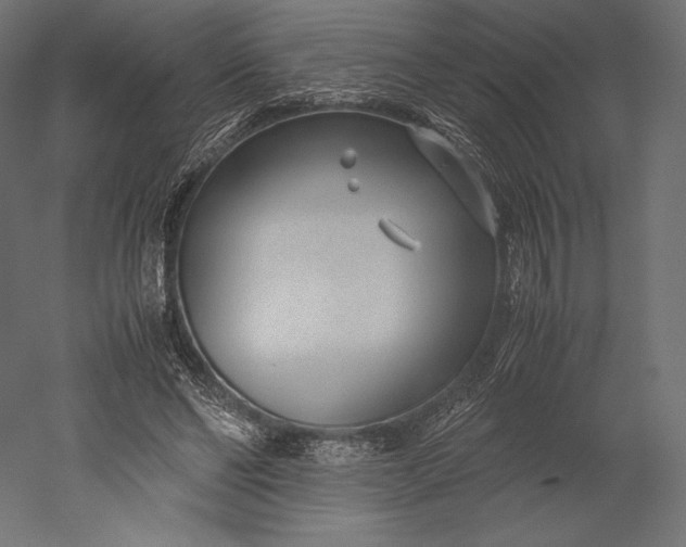 X0000051250494200507011656