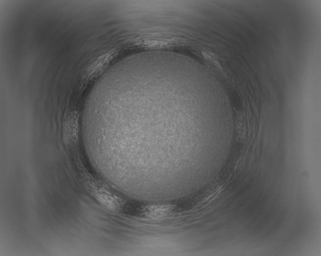 X0000051250495200507011656