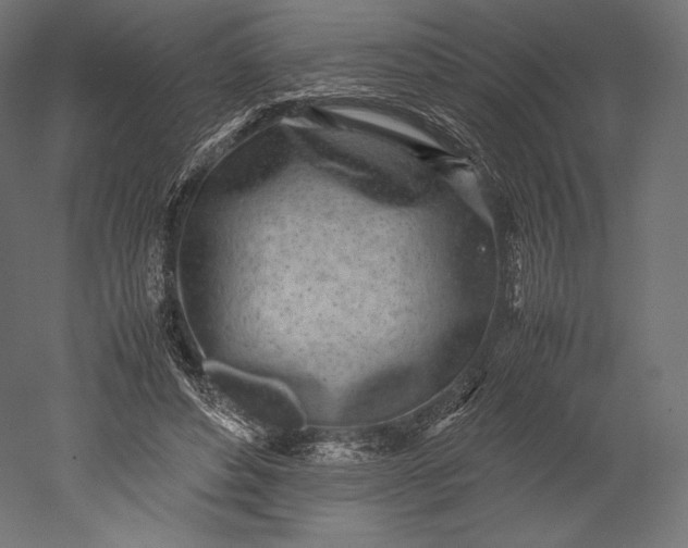 X0000051250496200507011656