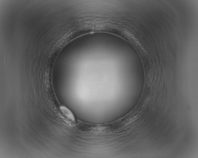 X0000051250497200507011656