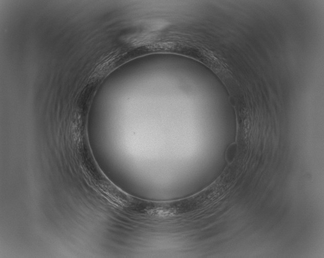 X0000051250498200507011656