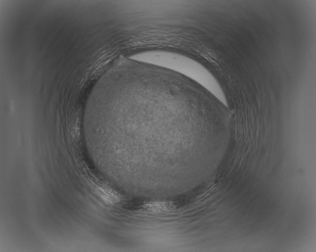 X0000051250499200507011656