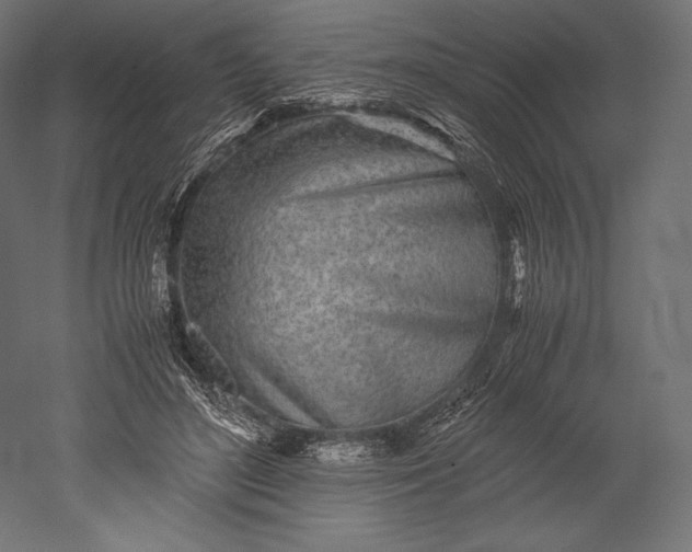 X0000051250500200507011656